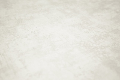 Обои виниловые на флизелиновой основе Трофи база, белый