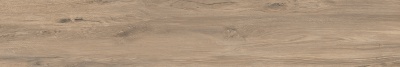Сальветти капучино обрезной 20x119,5x1,1