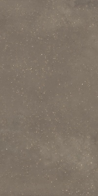 Пунтум коричневый матовый обрезной 60x119,5x0,8