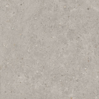 Риккарди серый светлый матовый обрезной 60x60x0,9